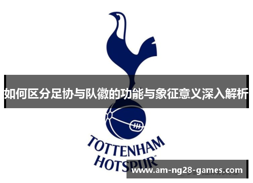 如何区分足协与队徽的功能与象征意义深入解析
