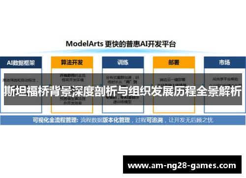 斯坦福桥背景深度剖析与组织发展历程全景解析 斯坦福桥背景深度剖析与组织发展历程全景解析